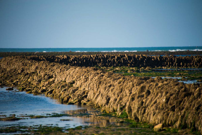 Etape 56 : Départ La Tranche sur Mer